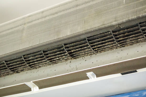 Professional Airduct Cleaning in MI